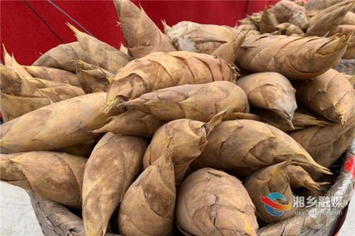 湘鄉(xiāng)以筍為媒 農(nóng)副土特產(chǎn)品助力群眾致富奔康